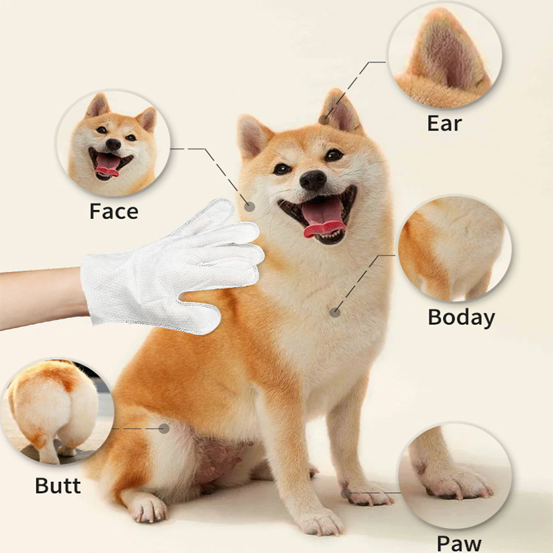 Tersus furrure deodorizing PROMPTU infectum pet globus